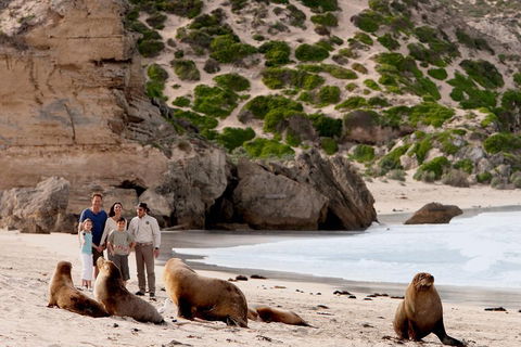 Kangaroo Island Scenic Trail Tour - Pubs Perth 5