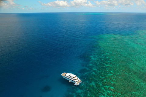 Great Barrier Reef Snorkeling And Diving Cruise From Cairns - Pubs Perth 4