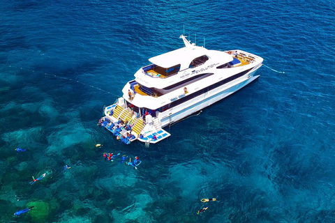 Great Barrier Reef Snorkeling And Diving Cruise From Cairns - Pubs Perth 5