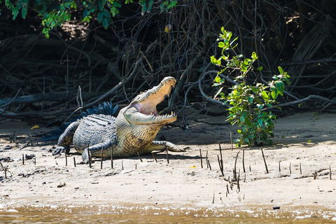 Full Day Cooktown Private Tour - Pubs Perth 4