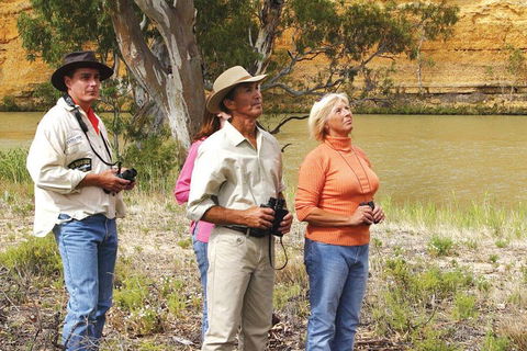 4-Night Murray River Cruise By Classic Paddle Wheeler PS Murray Princess - Pubs Perth 2