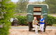 4-Night Murray River Cruise By Classic Paddle Wheeler PS Murray Princess - thumb 3