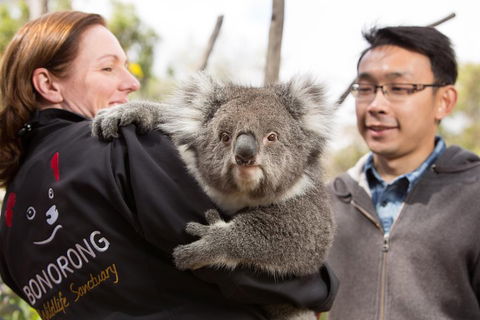 Bonorong Wildlife Park And Richmond Afternoon Tour From Hobart - Pubs Perth 0