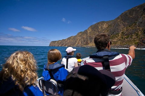 Seal Island Boat Tour From Victor Harbor - Pubs Perth 0