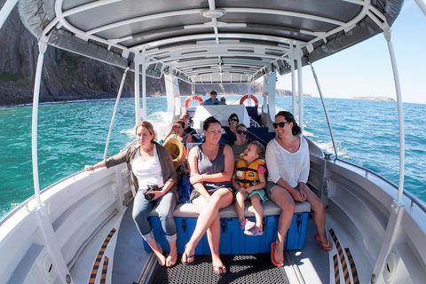 Seal Island Boat Tour From Victor Harbor - Pubs Perth 1