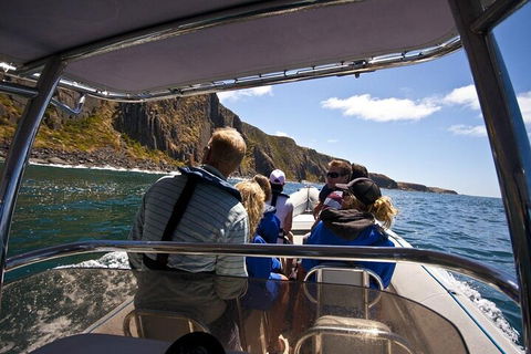 Seal Island Boat Tour From Victor Harbor - Pubs Perth 2