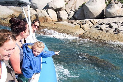 Seal Island Boat Tour From Victor Harbor - Pubs Perth 4