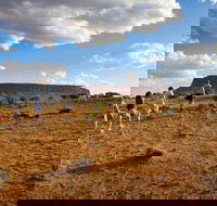 Mount Conner 4WD Small Group Tour from Ayers Rock including Dinner - Pubs Perth