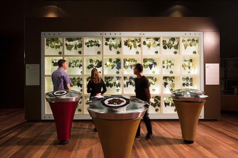 Australian Wine Discovery Tour With Tastings - Pubs Perth 4