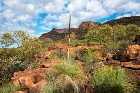 6-Day Eyre Peninsula & Flinders Ranges Adventure Tour - Pubs Perth 1