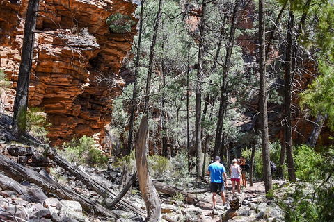 6-Day Eyre Peninsula & Flinders Ranges Adventure Tour - Pubs Perth 5
