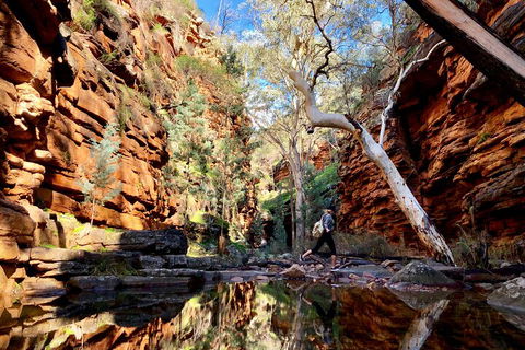 10-Day Adelaide To Perth Adventure Tour - Pubs Perth 5