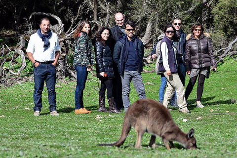 2-Day Kangaroo Island 4WD Small-Group Tour From Adelaide - Pubs Perth 1