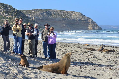 2-Day Kangaroo Island 4WD Small-Group Tour From Adelaide - Pubs Perth 3