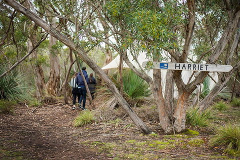 2-Day Kangaroo Island 4WD Small-Group Tour From Adelaide - Pubs Perth 5