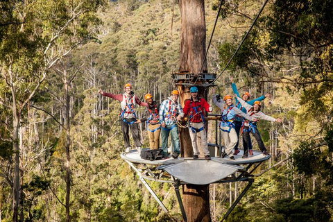 Hollybank Wilderness Adventure - Zipline Tours - Pubs Perth 1