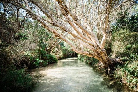 3-Day Fraser Island Resort Package - Pubs Perth 5
