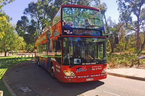 Perth Hop-On Hop-Off Bus Tour - Pubs Perth 4