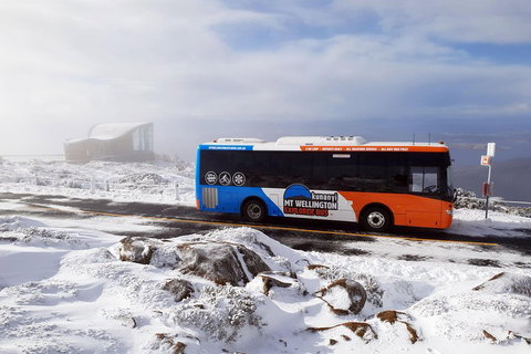 Hobart Hop-On Hop-Off Bus & Kunanyi/Mt Wellington Tour - Pubs Perth 5