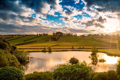 Josef Chromy Wines Winery Tour Including Tasting And Lunch - Pubs Perth 3