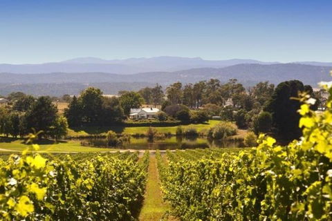 Josef Chromy Wines Winery Tour Including Tasting And Lunch - Pubs Perth 4