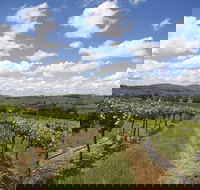 Hunter Valley Wine Tour from Sydney incl Lunch Cheese Chocolate and Distillery - Pubs Perth