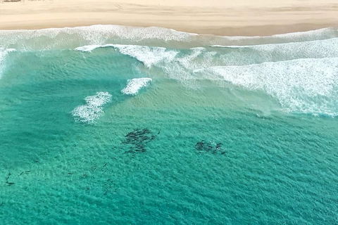 Coastal Helicopter Shared Flight - 20 Minutes - Pubs Perth 4