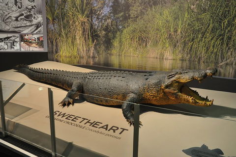 Explore Darwin City Sights Including Key Attractions - Pubs Perth 2