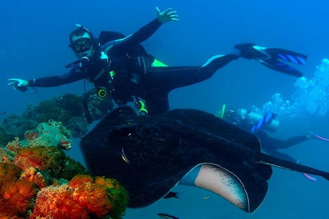 Scuba Dive The S.S. Yongala Wreck On The Great Barrier Reef. - Pubs Perth 0