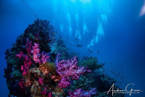 Scuba Dive The S.S. Yongala Wreck On The Great Barrier Reef. - Pubs Perth 2