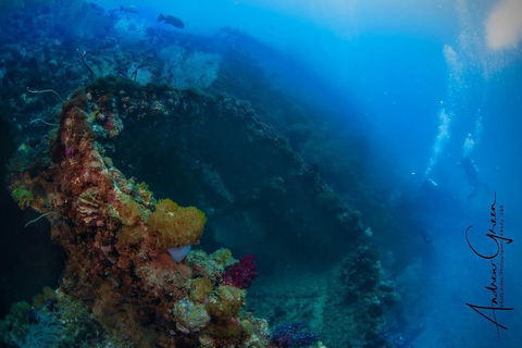 Scuba Dive The S.S. Yongala Wreck On The Great Barrier Reef. - Pubs Perth 3