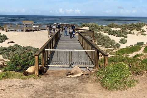 Kangaroo Island 4WD Tour - Best Of KI - Pubs Perth 2